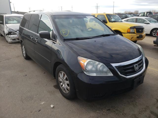 HONDA ODYSSEY EX 2010 5fnrl3h60ab019529