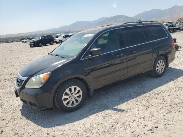 HONDA ODYSSEY EX 2010 5fnrl3h60ab054877