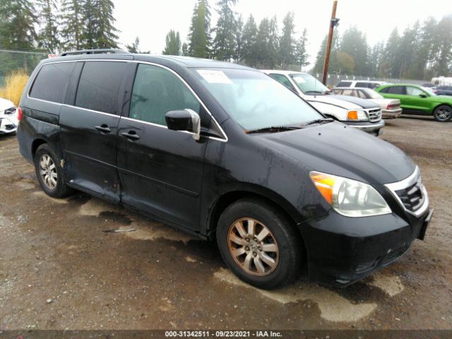 HONDA ODYSSEY 2010 5fnrl3h60ab059013