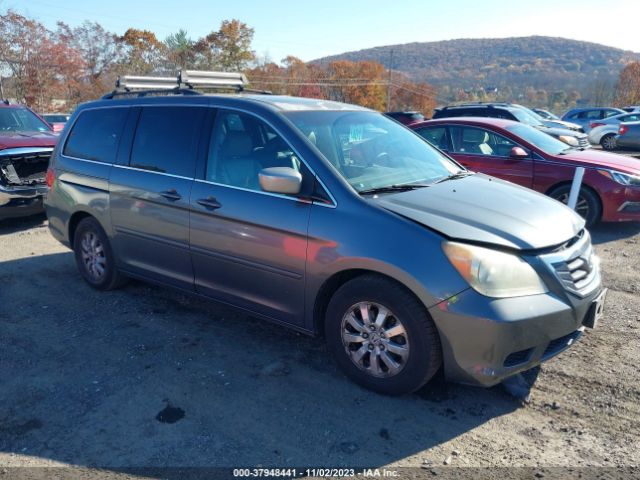 HONDA ODYSSEY 2010 5fnrl3h60ab066396