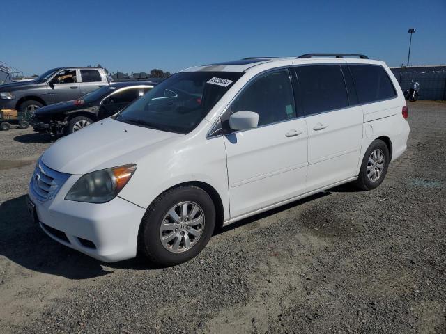 HONDA ODYSSEY EX 2010 5fnrl3h60ab103639