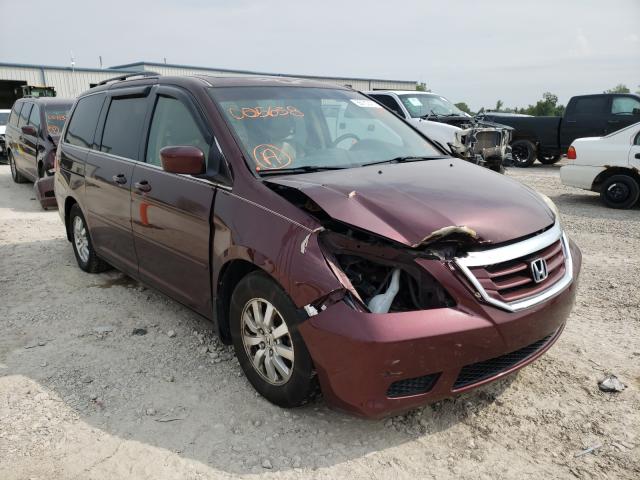 HONDA ODYSSEY EX 2010 5fnrl3h61ab005638