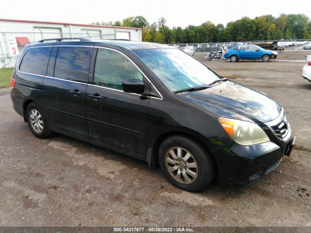 HONDA ODYSSEY 2010 5fnrl3h61ab007518