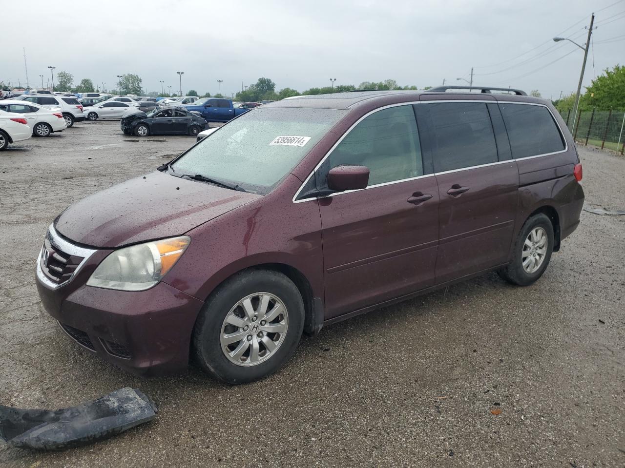 HONDA ODYSSEY 2010 5fnrl3h61ab038073