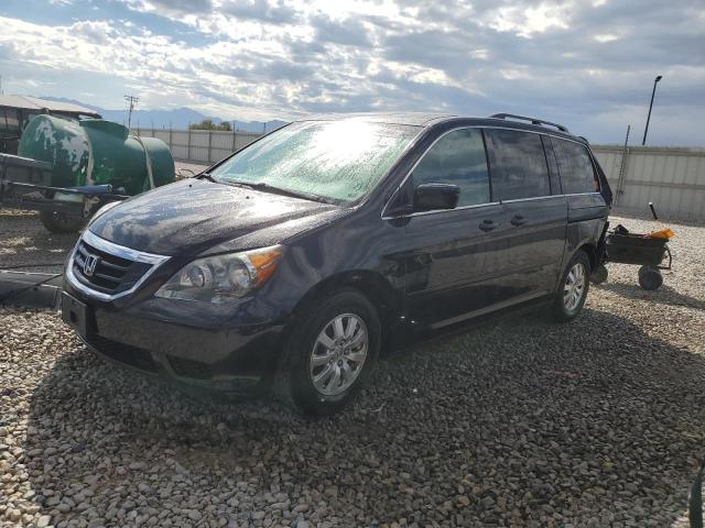 HONDA ODYSSEY EX 2010 5fnrl3h61ab078508