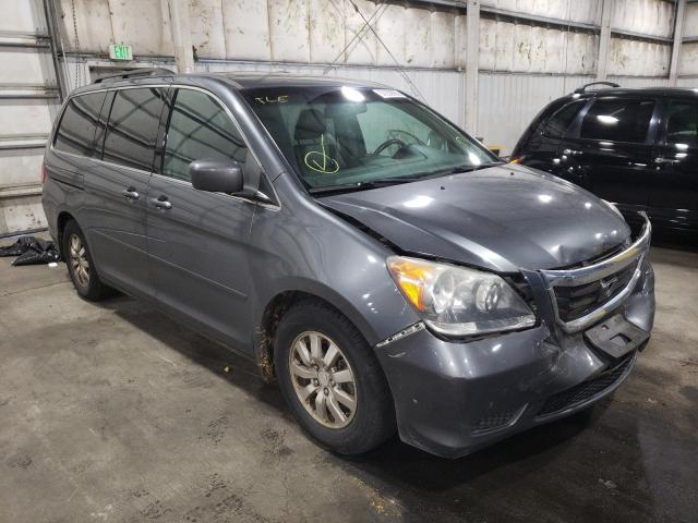 HONDA ODYSSEY EX 2010 5fnrl3h62ab049387