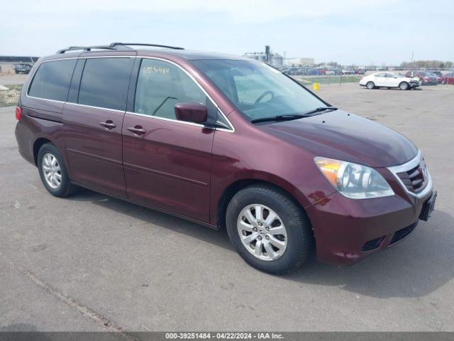 HONDA ODYSSEY 2010 5fnrl3h62ab070062