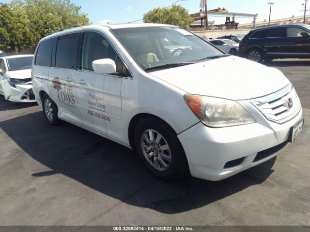 HONDA ODYSSEY 2010 5fnrl3h62ab090411