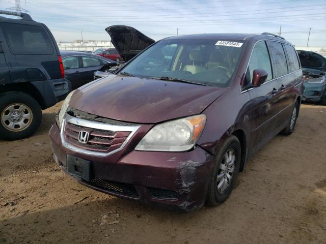 HONDA ODYSSEY 2010 5fnrl3h64ab048094