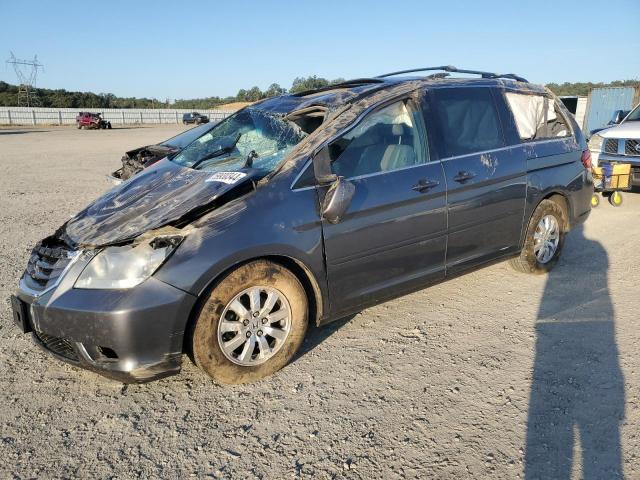 HONDA ODYSSEY EX 2010 5fnrl3h64ab053957