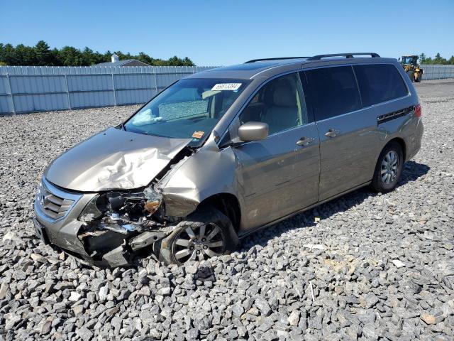 HONDA ODYSSEY EX 2010 5fnrl3h64ab061198