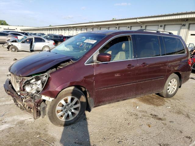 HONDA ODYSSEY EX 2010 5fnrl3h65ab058519