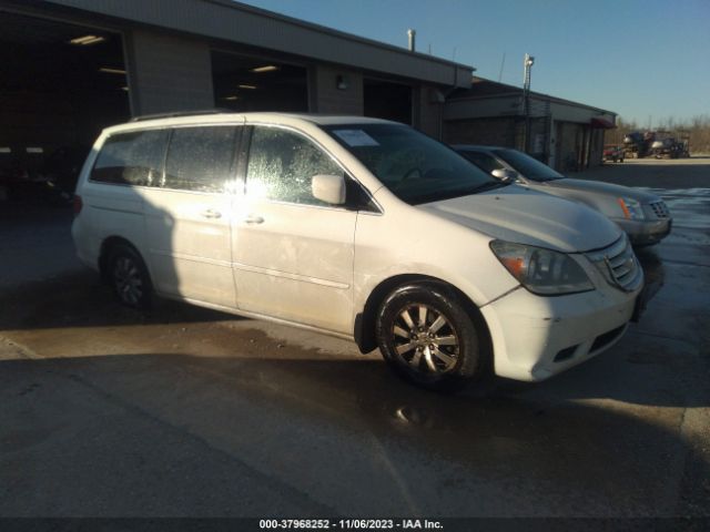 HONDA ODYSSEY 2010 5fnrl3h65ab082125