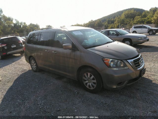 HONDA ODYSSEY 2010 5fnrl3h65ab097093