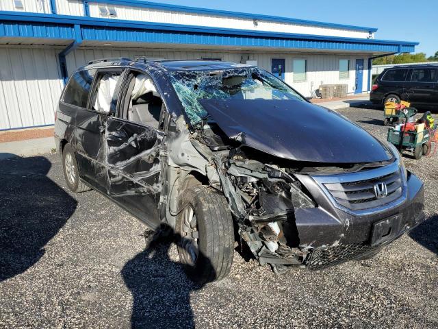 HONDA ODYSSEY EX 2010 5fnrl3h66ab052163