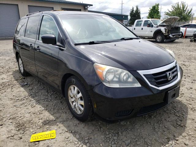 HONDA ODYSSEY EX 2010 5fnrl3h66ab088161