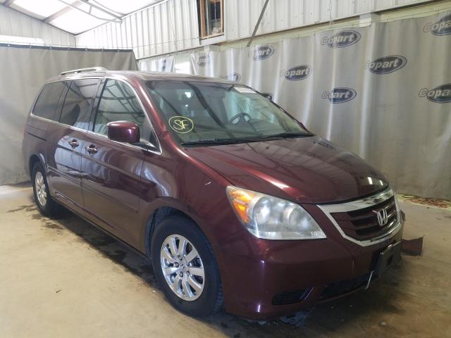 HONDA ODYSSEY EX 2010 5fnrl3h66ab108554