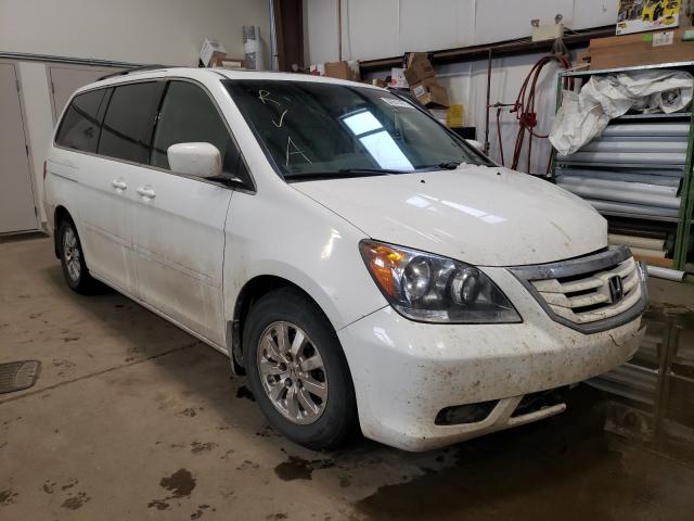 HONDA ODYSSEY EX 2010 5fnrl3h66ab501082