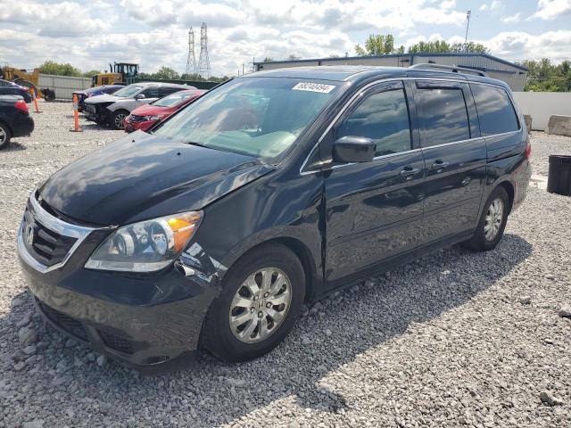 HONDA ODYSSEY 2010 5fnrl3h67ab019513