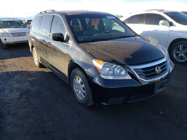 HONDA ODYSSEY EX 2010 5fnrl3h67ab090159