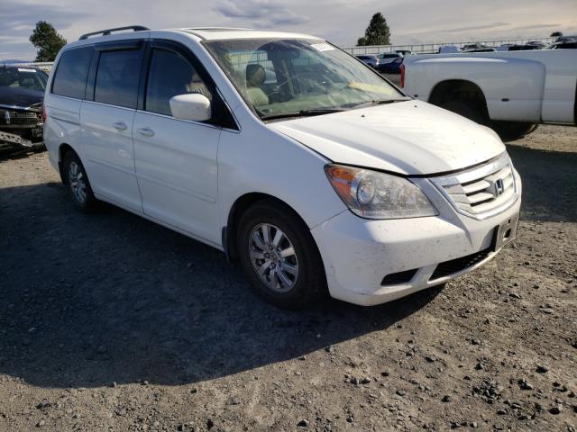 HONDA ODYSSEY EX 2010 5fnrl3h67ab111057