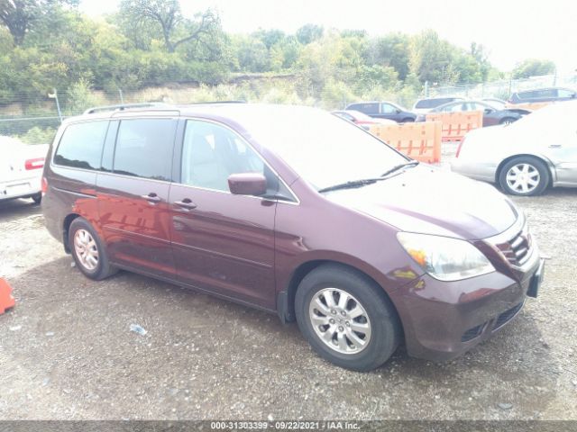 HONDA ODYSSEY 2010 5fnrl3h68ab078831