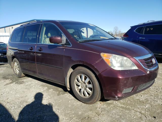 HONDA ODYSSEY 2010 5fnrl3h69ab005631