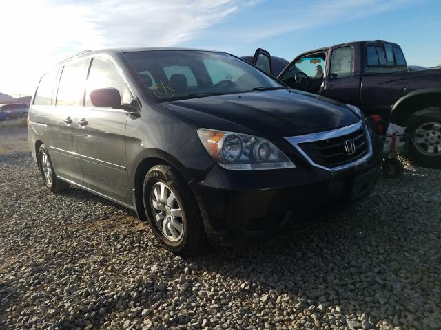 HONDA ODYSSEY EX 2010 5fnrl3h69ab019481