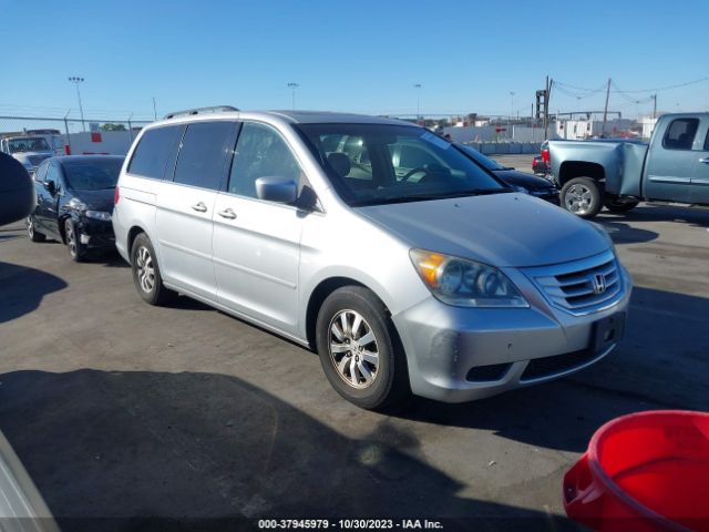 HONDA ODYSSEY 2010 5fnrl3h6xab055048