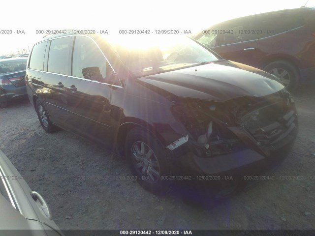 HONDA ODYSSEY 2010 5fnrl3h70ab035769