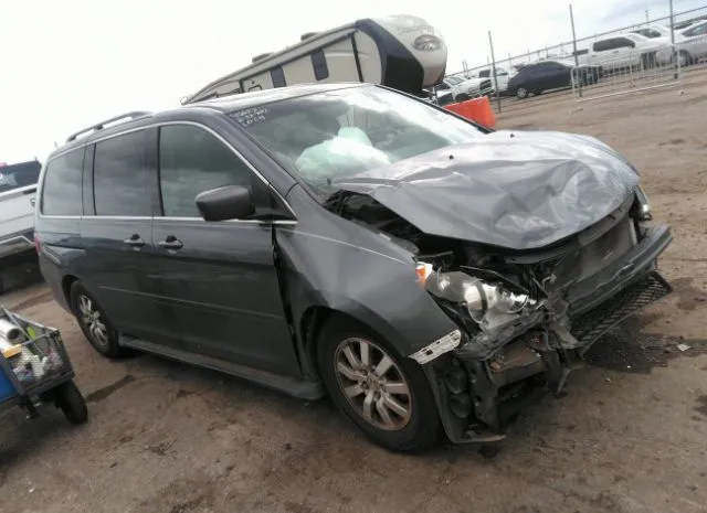 HONDA ODYSSEY 2010 5fnrl3h70ab073941