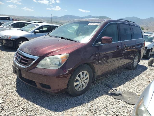 HONDA ODYSSEY EX 2010 5fnrl3h70ab086429