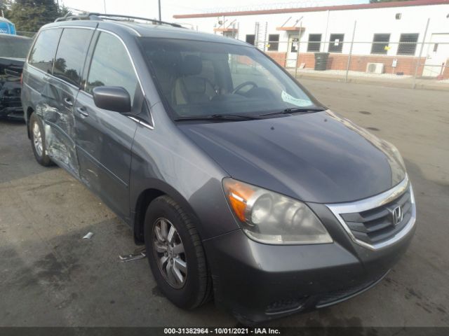 HONDA ODYSSEY 2010 5fnrl3h71ab010329