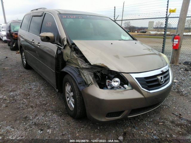 HONDA ODYSSEY 2010 5fnrl3h71ab017930