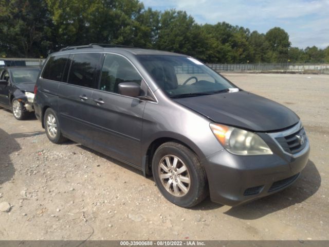 HONDA ODYSSEY 2010 5fnrl3h71ab020228