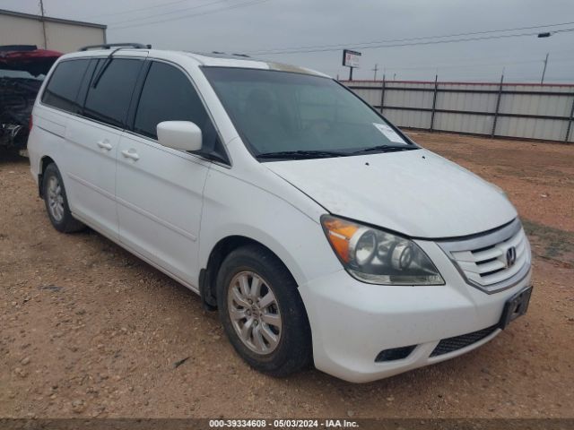 HONDA ODYSSEY 2010 5fnrl3h71ab039409