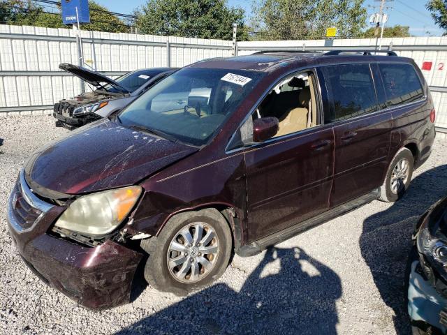 HONDA ODYSSEY EX 2010 5fnrl3h71ab047459