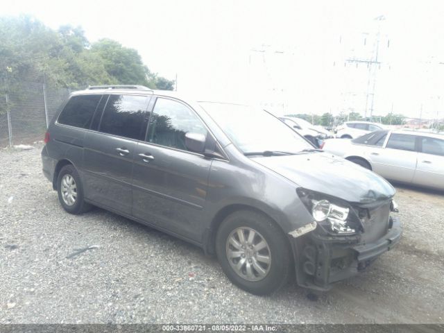 HONDA ODYSSEY 2010 5fnrl3h71ab051835