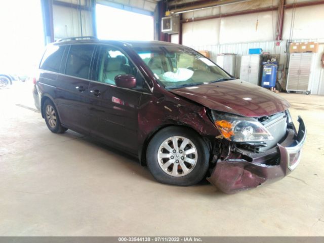 HONDA ODYSSEY 2010 5fnrl3h71ab062396