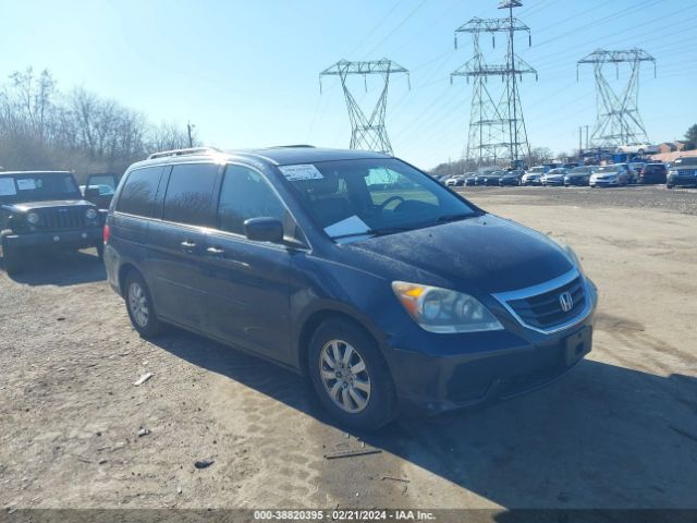 HONDA ODYSSEY 2010 5fnrl3h71ab098735