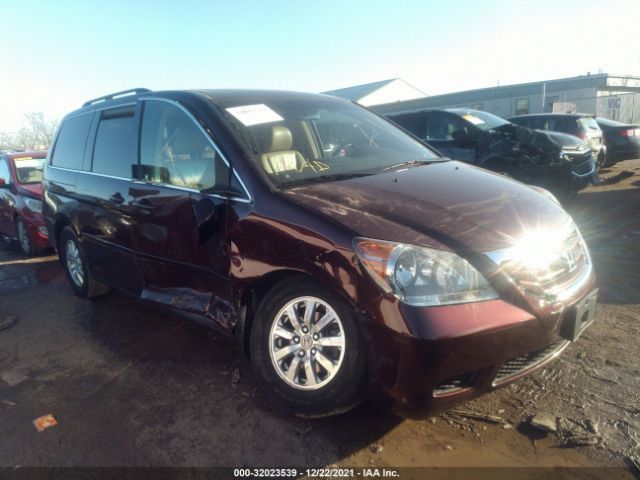 HONDA ODYSSEY 2010 5fnrl3h71ab108194