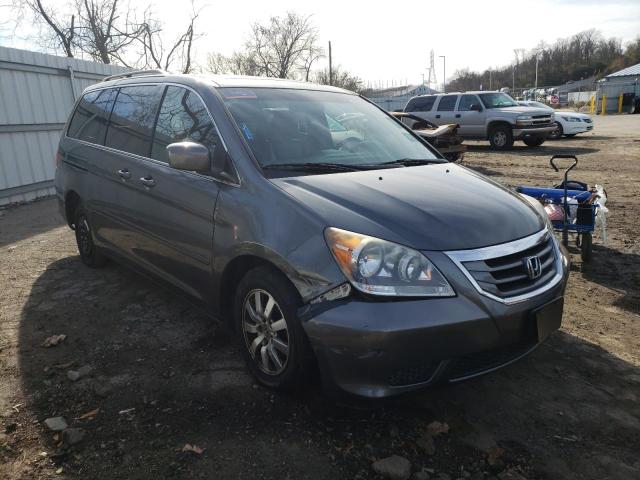 HONDA ODYSSEY EX 2010 5fnrl3h72ab008475