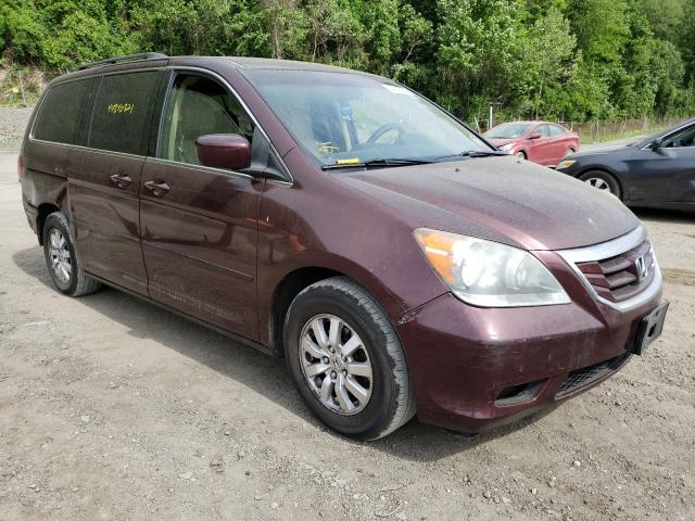 HONDA ODYSSEY EX 2010 5fnrl3h72ab035921