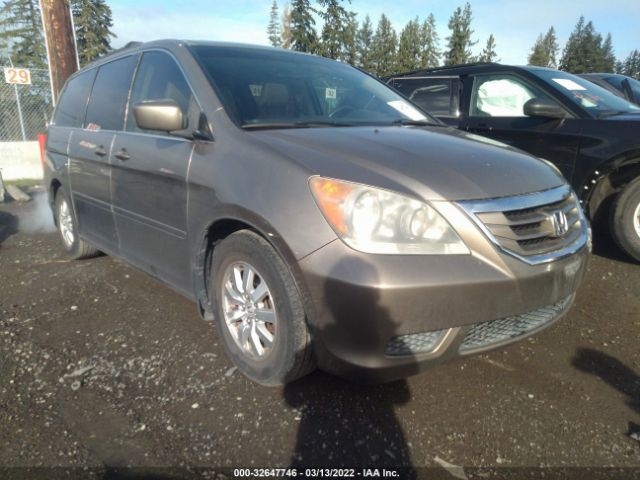 HONDA ODYSSEY 2010 5fnrl3h73ab033370