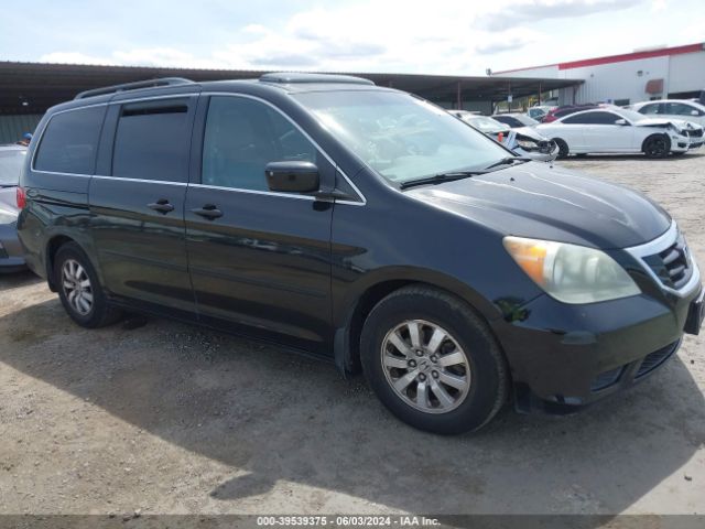 HONDA ODYSSEY 2010 5fnrl3h73ab038925