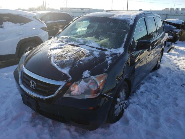 HONDA ODYSSEY EX 2010 5fnrl3h74ab006145