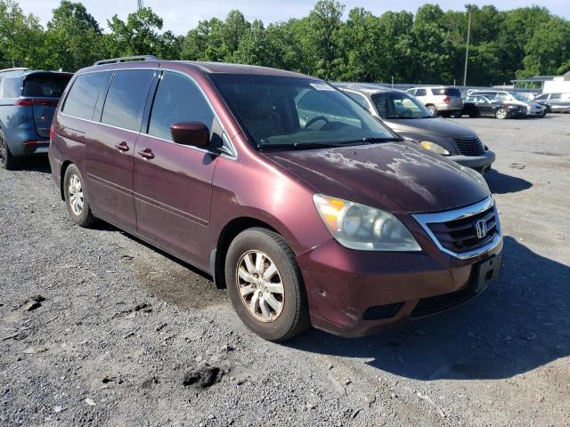 HONDA ODYSSEY EX 2010 5fnrl3h74ab094517