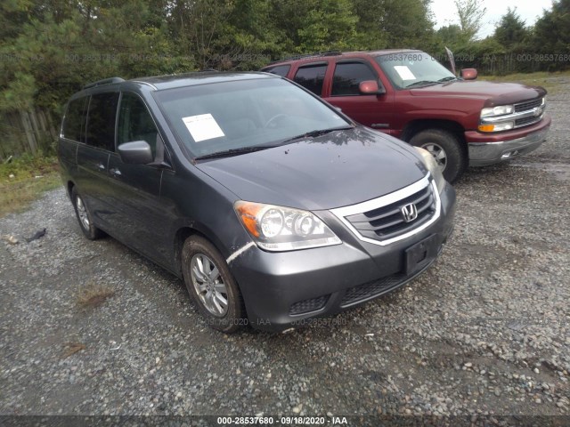 HONDA ODYSSEY 2010 5fnrl3h75ab008504