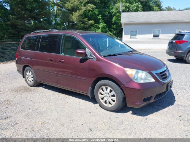 HONDA ODYSSEY 2010 5fnrl3h76ab017907