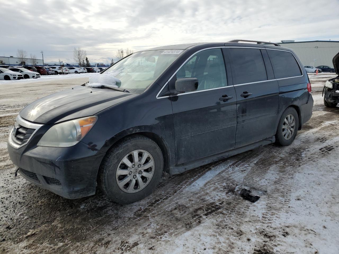 HONDA ODYSSEY 2010 5fnrl3h76ab508896